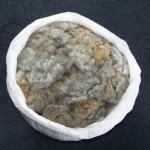 Gray wool